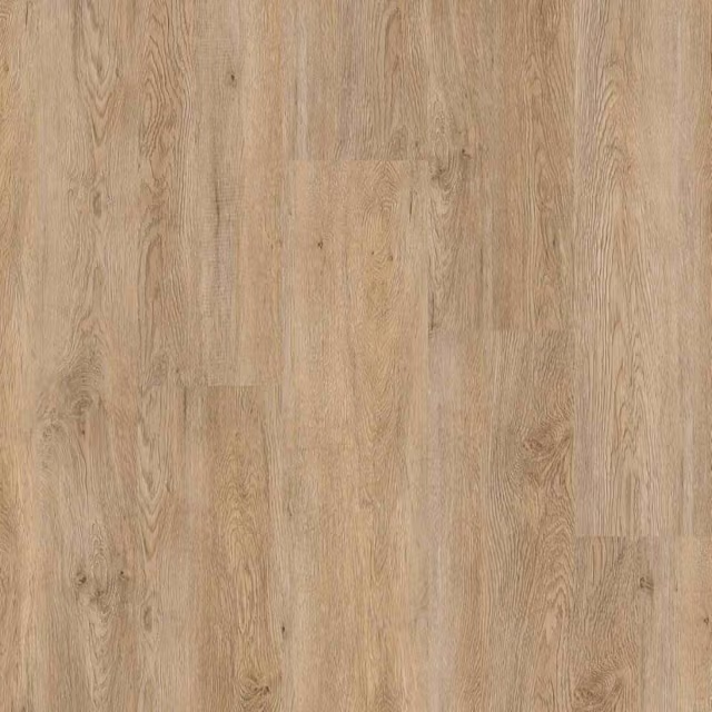 Therdex Basic 4270-2