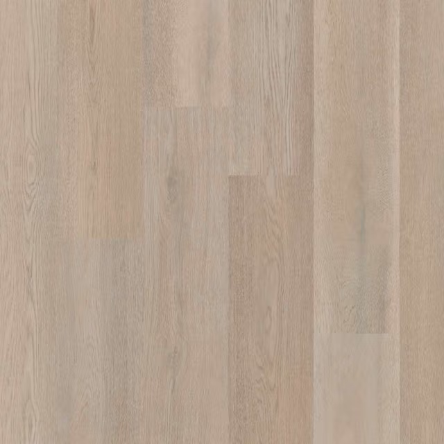 Therdex Premier 15083