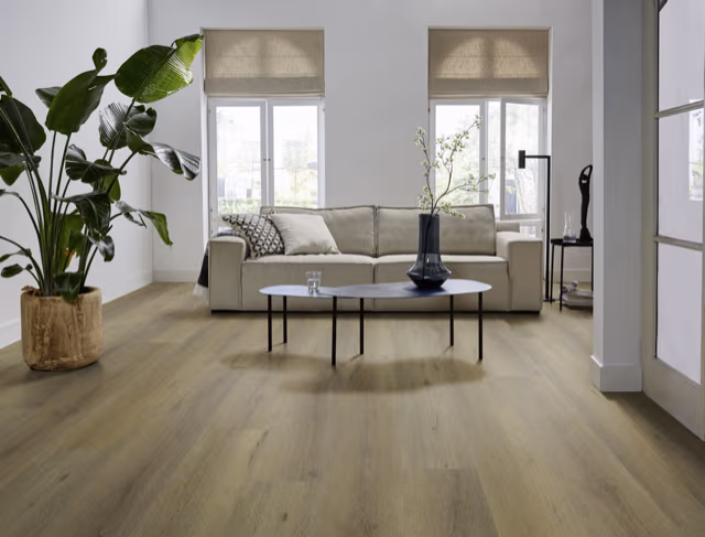 Ambiant Vivero click SRC dark oak