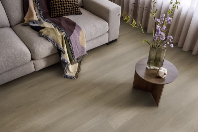 Ambiant Soleno click SRC dark oak