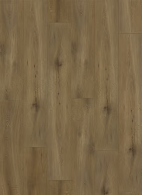 Gelasta Callisto Dryback 4100 Natural Oak Dark
