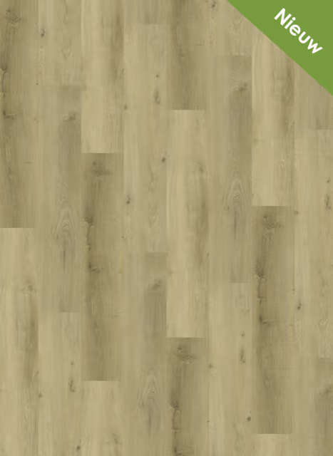 Gelasta Vario Dryback 4904 Prestige Oak Light