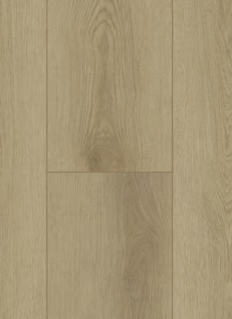 Gelasta Firmfit Dryback 6500 Sierra Light