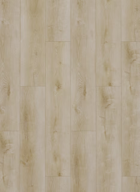 Gelasta Dynamic Dryback 2500 Natural Light