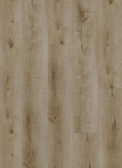 Gelasta Dynamic Dryback 2501 Natural Smoked