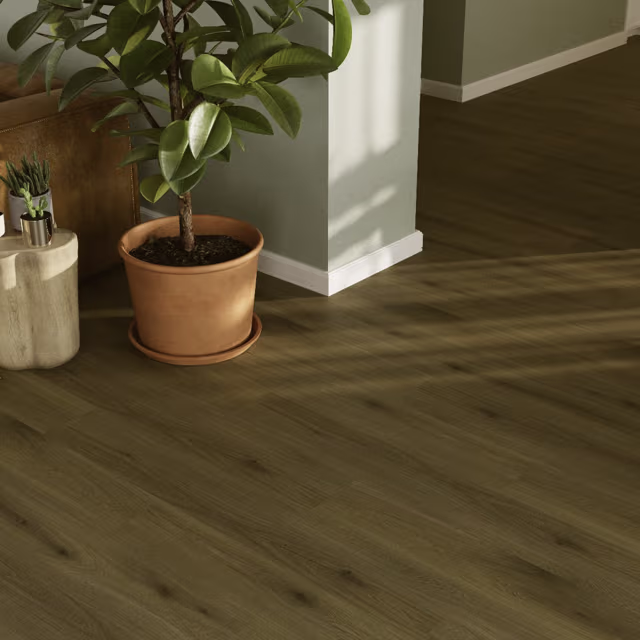 SAFFIER Avenue 7055 Daytona Oak