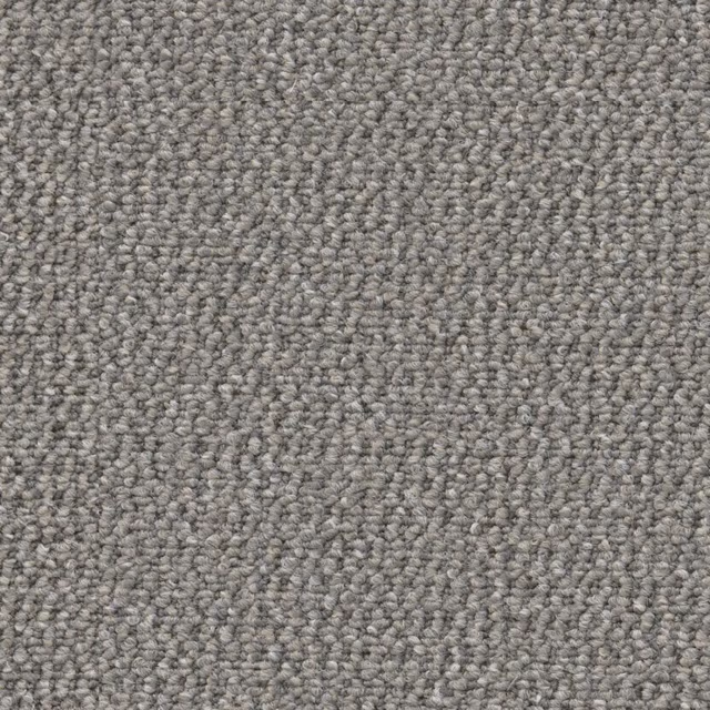 Lichtgrijs 0165