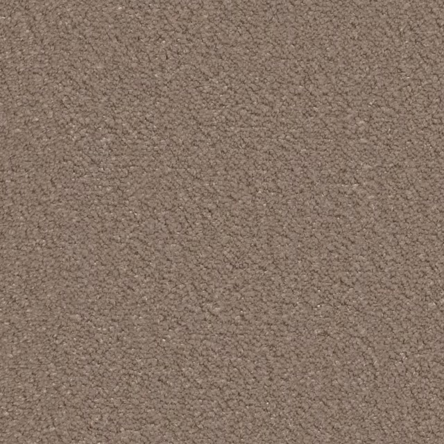 Taupe 0535