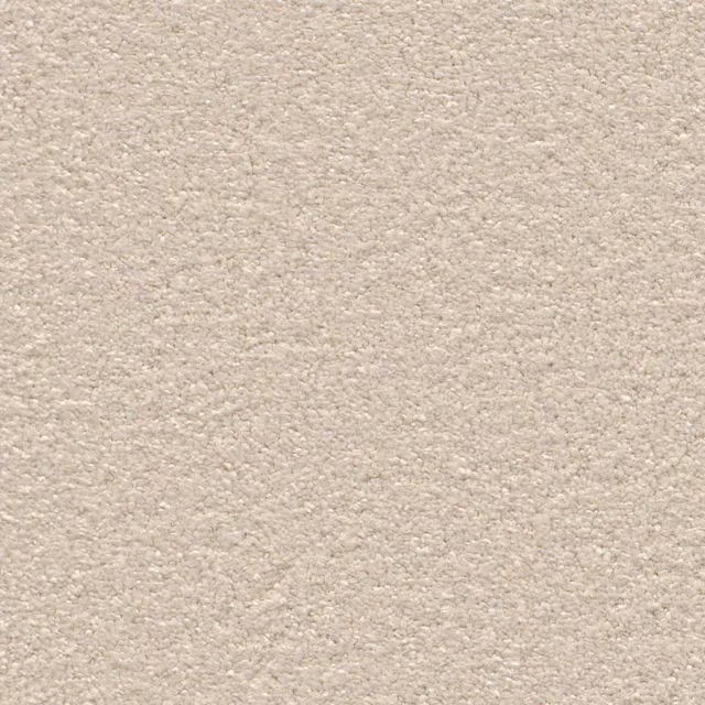 Beige 0400