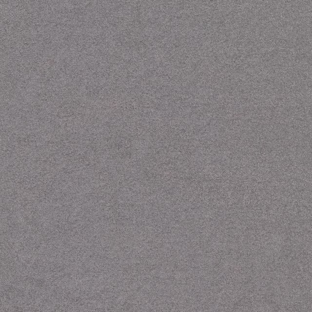 Lichtgrijs 0165