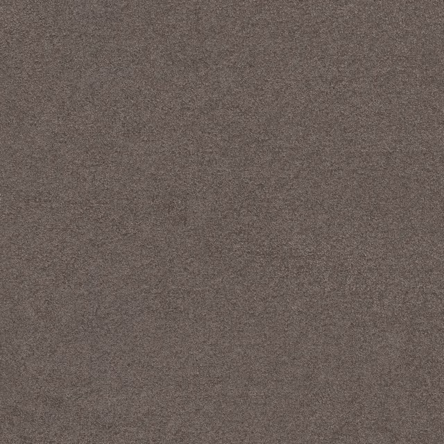 Greige 0195