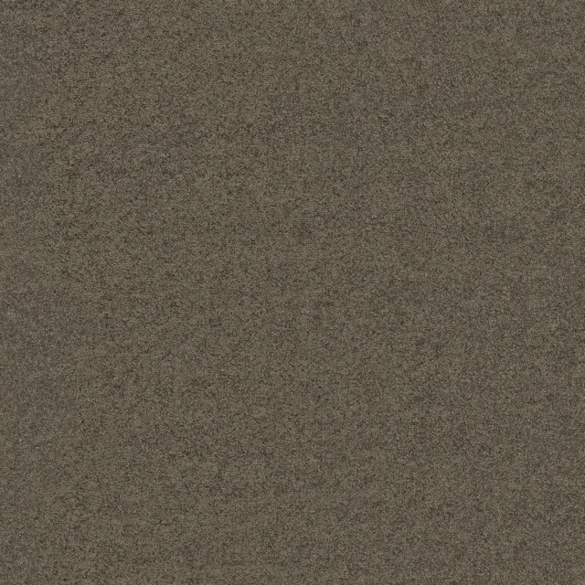 Olijf 0921