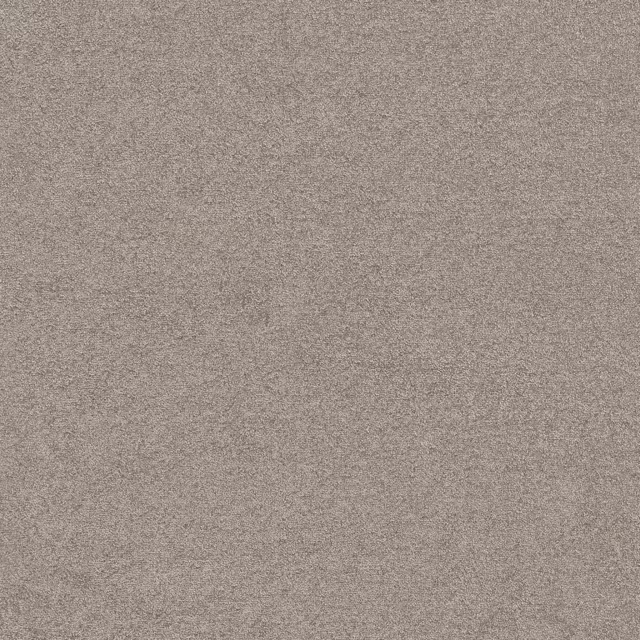 Grijsbeige 0496