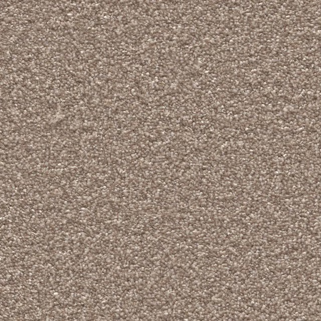 Beige 0400