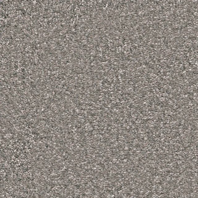 Lichtgrijs 0165