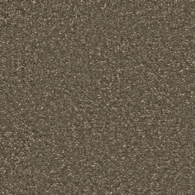 Olijf 0912