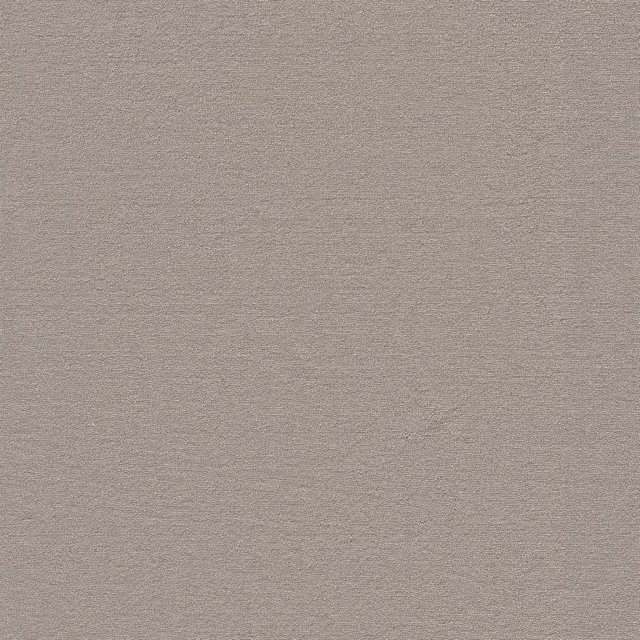 Beige 0400