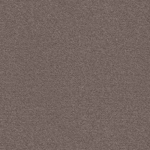 Hazelnoot 0465