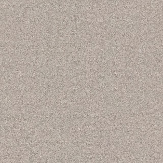 Beige 0400