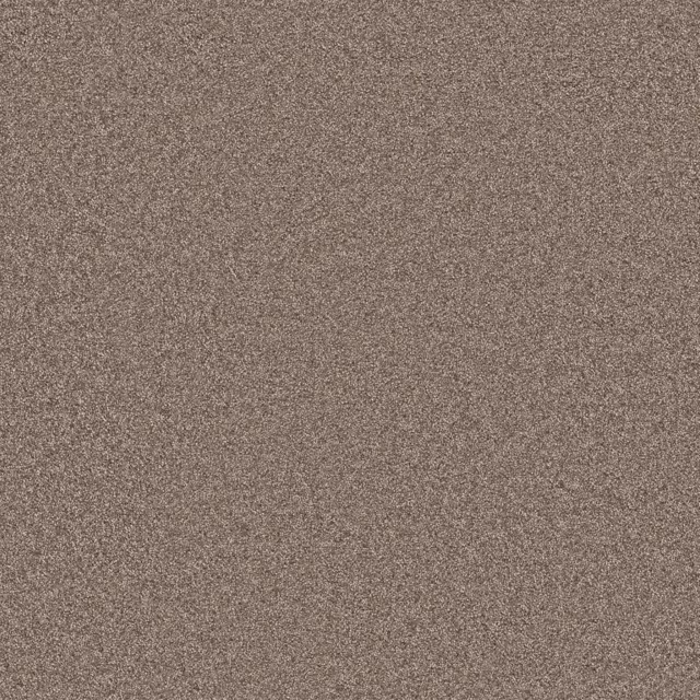 Lichtbruin 0602