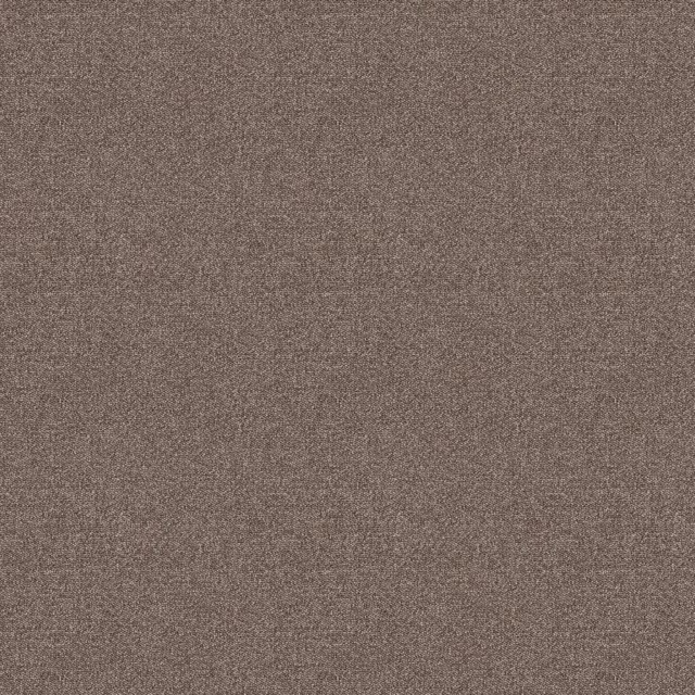 Hazelnoot 0465