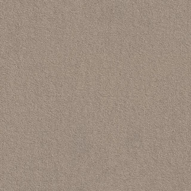 Greige 0195