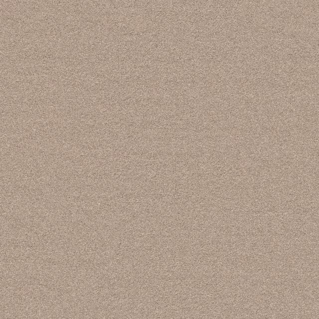 Beige 0400