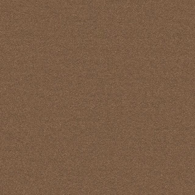 Camel 0405