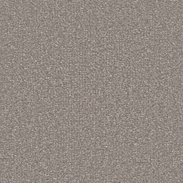 Lichtgrijs 0165