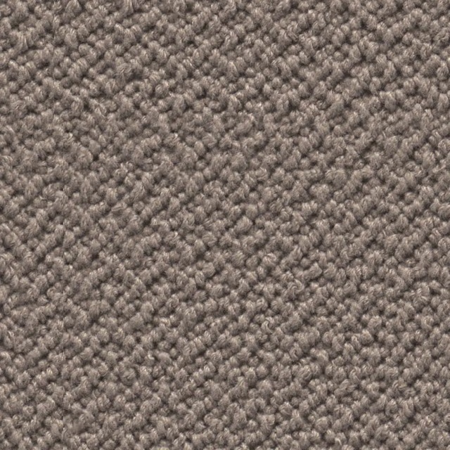 Taupe 0101