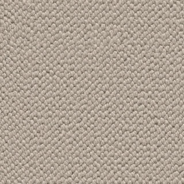 Beige 0496