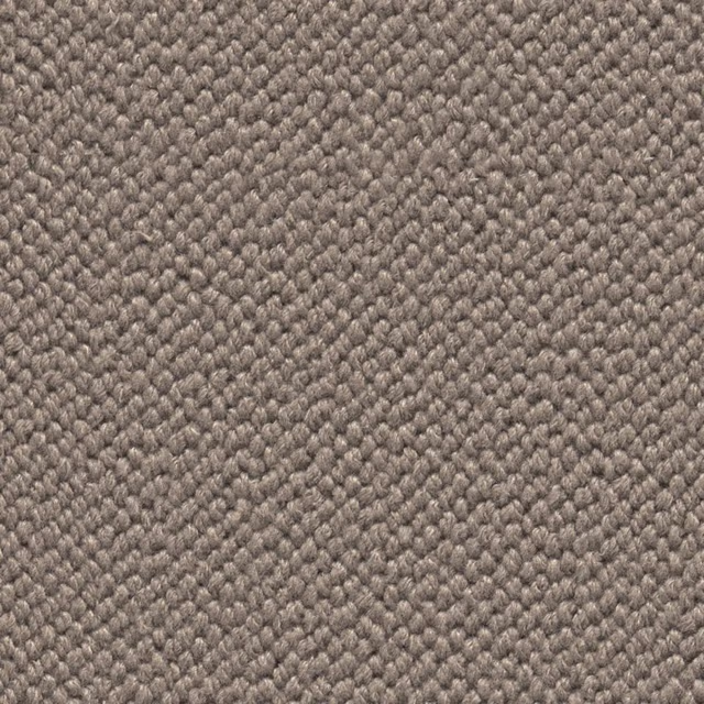 Taupe 0535