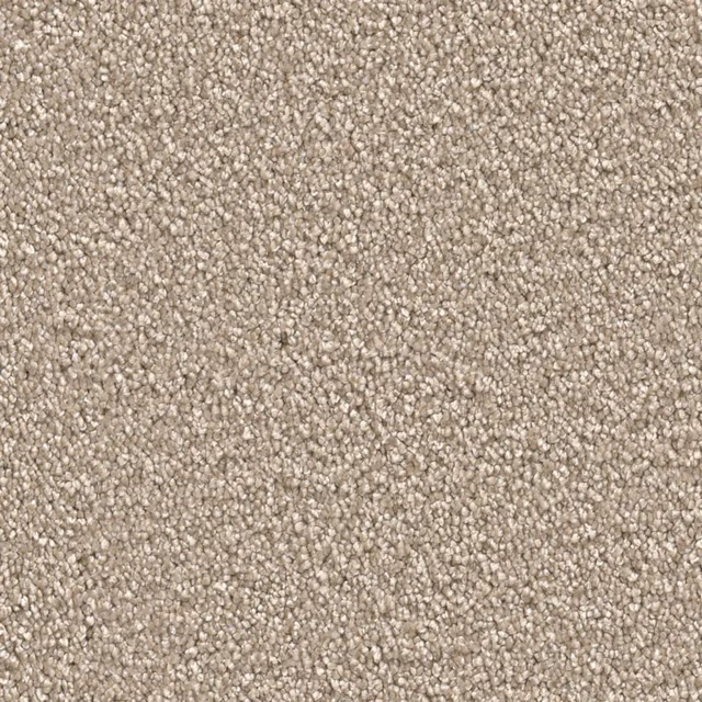 Beige 0400