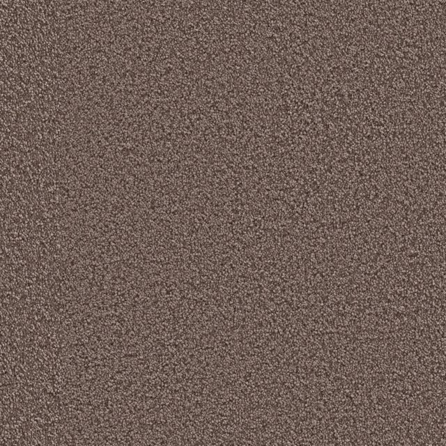 Taupe 0535