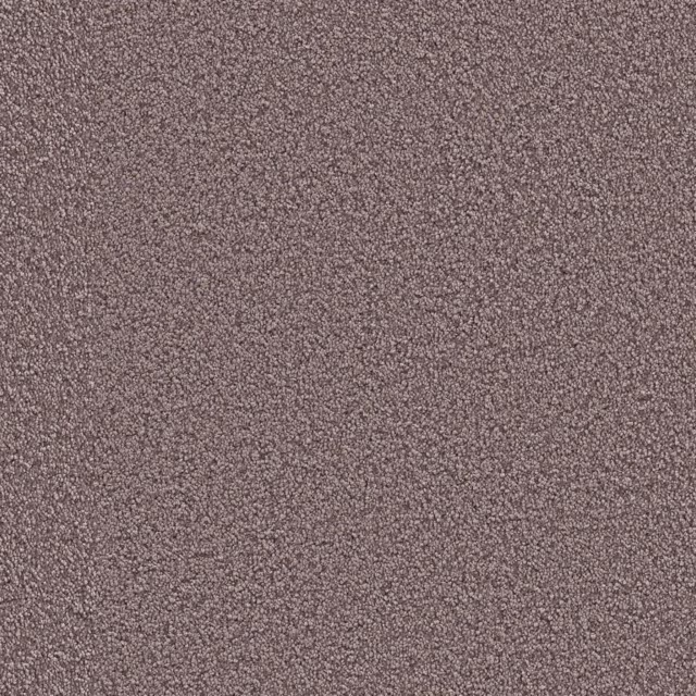 Lila 0560
