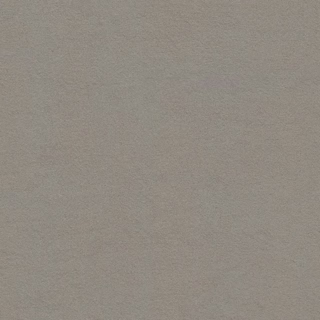 Lichtgrijs 0165
