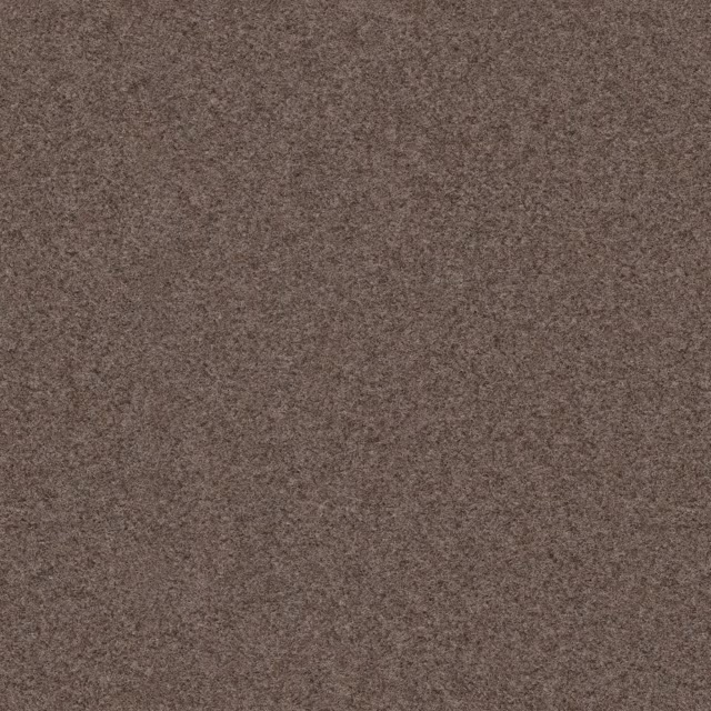 Camel 0405