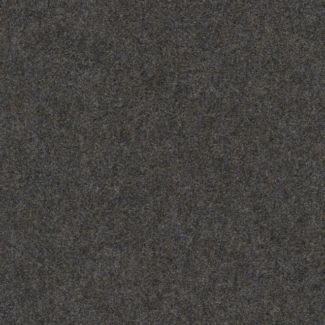 Olifant 0120