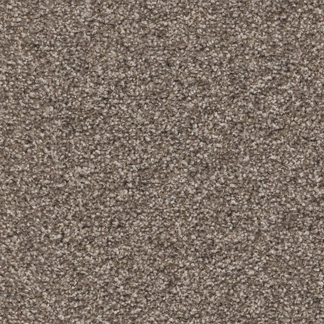 Beige 0400