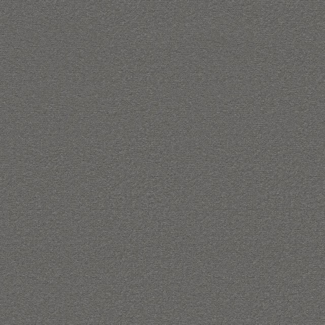 Olifant 0120