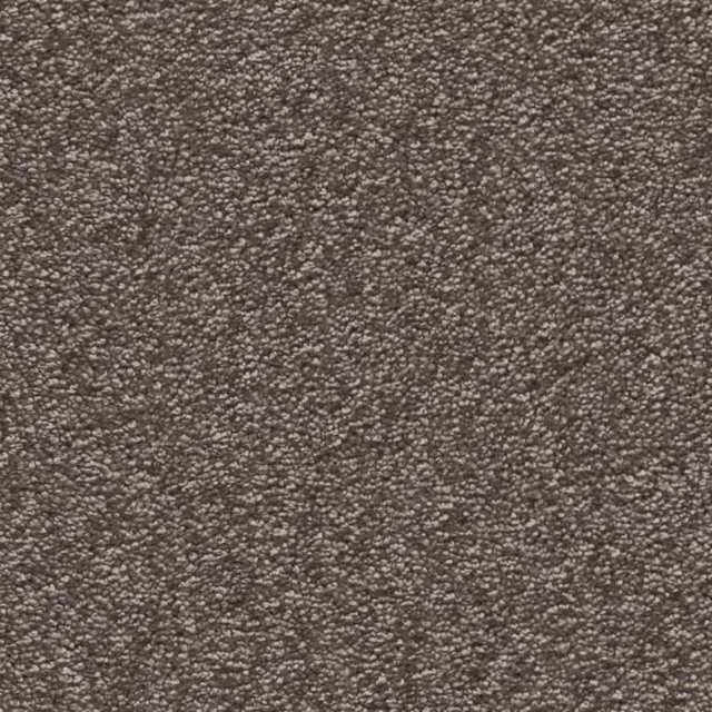 Taupe 0535