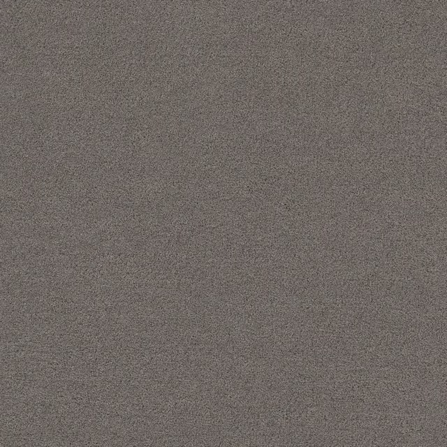 Duifgrijs 0110