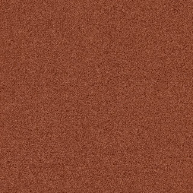 Oranje 0300