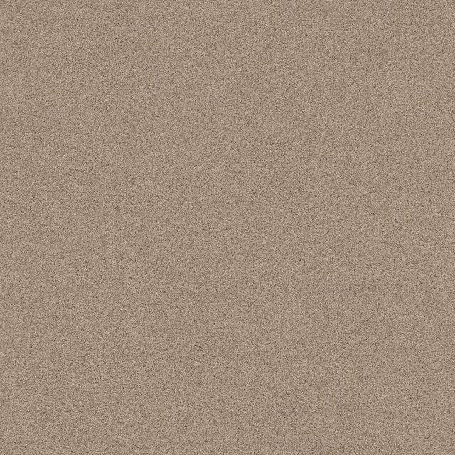 Beige 0400