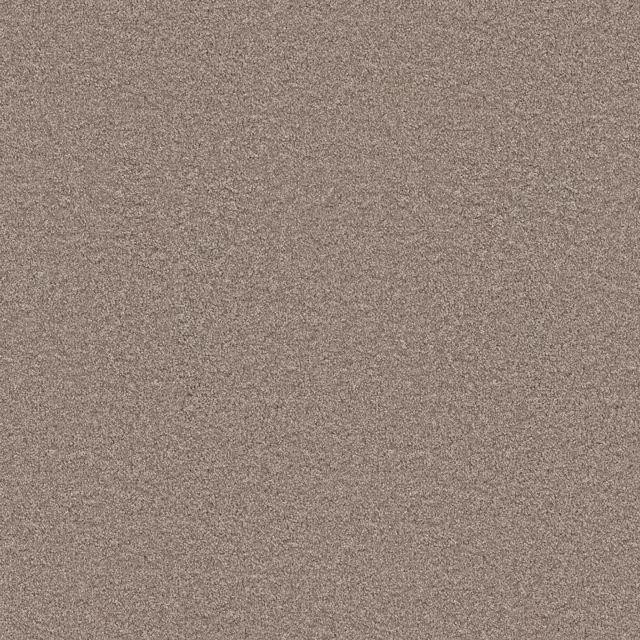 Greige 0195