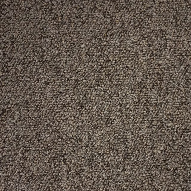 Greige 0195