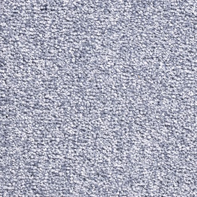 81