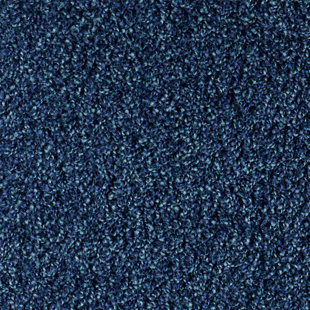 231