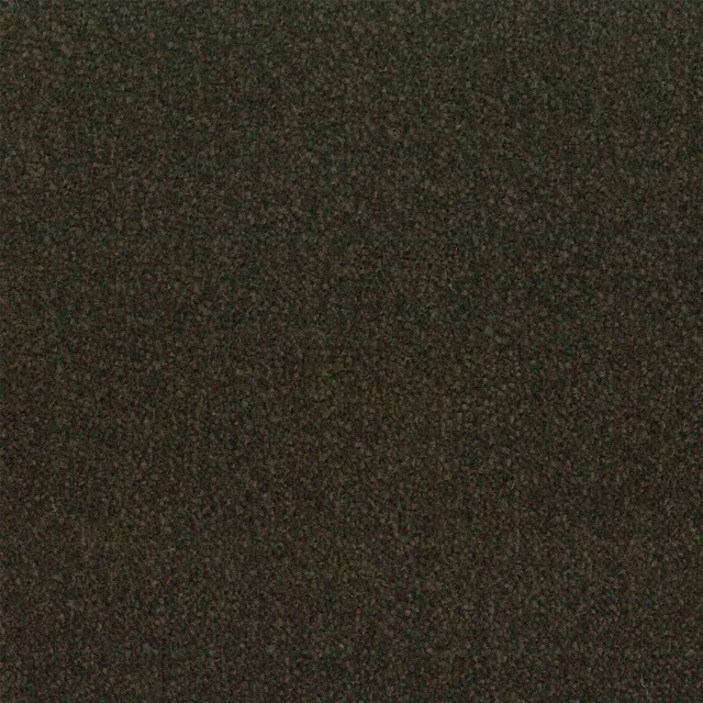 259