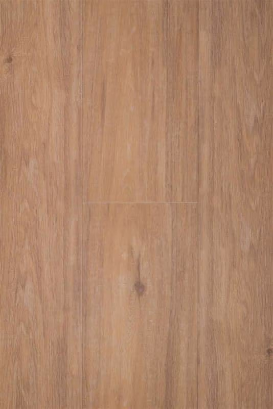 Therdex Regular 3030